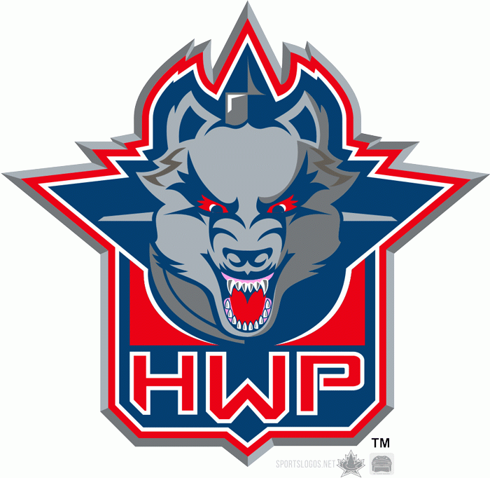 Hartford Wolf Pack 2009 10 Alternate Logo iron on heat transfer
